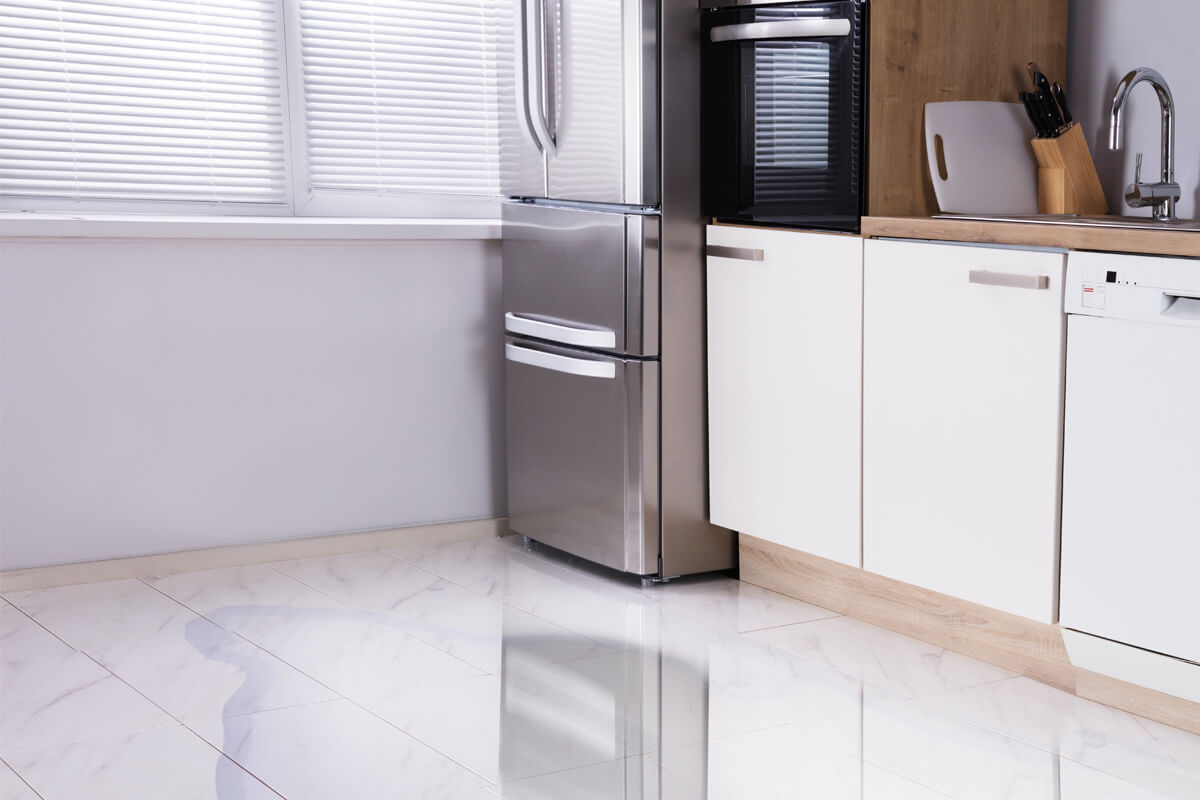 Fridge leaking